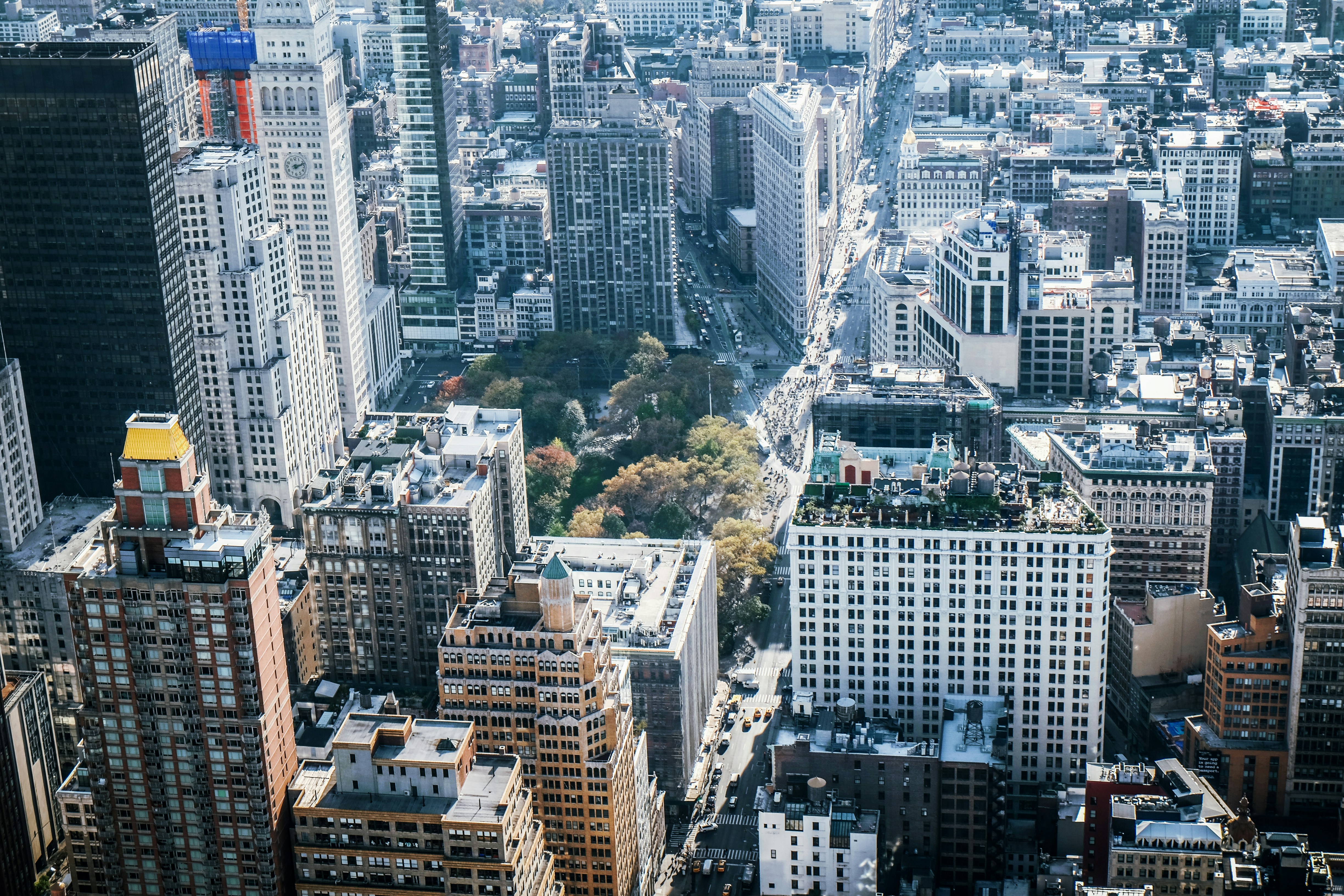 city landscape banner image